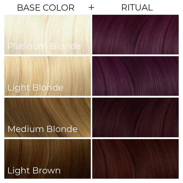 Arctic Fox Hair Colour Ritual 236ml