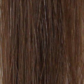 Grace Remy 2 Clip Weft Hair Extension 