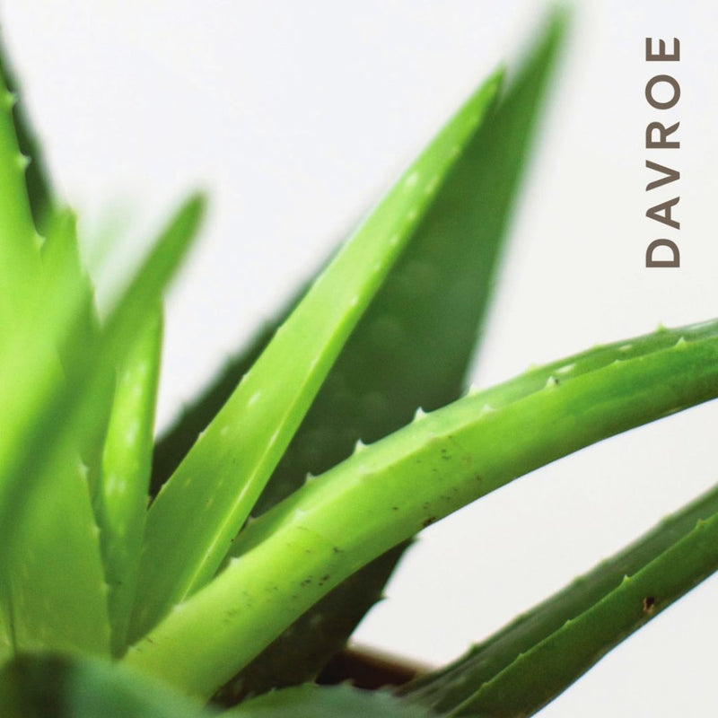 Davroe Smooth Senses Anti-Frizz Shampoo 1 Litre