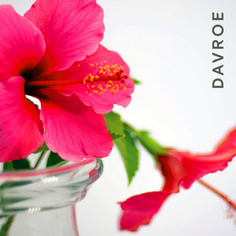 Davroe Repair Senses Revitalizing Shampoo 325ml