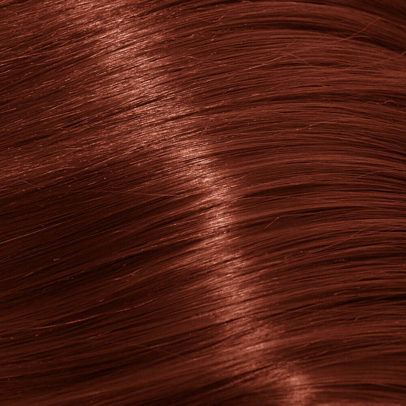 Schwarzkopf Igora Royal Permanent Colour Absolutes 6-80 Dark Blonde Red Natural 60ml