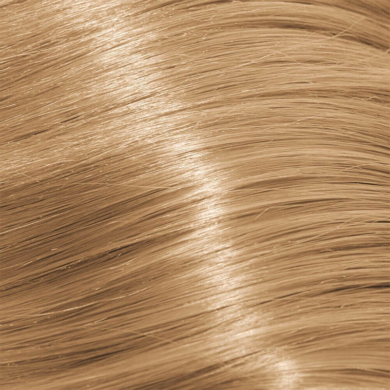 Schwarzkopf Igora Royal Permanent Colour Absolutes 9-560 Extra Light Blonde Gold Chocolate Natural 60ml