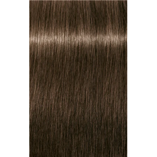 Schwarzkopf Igora Royal Permanent Colour 6-00 Dark Blonde Natural Extra 60ml