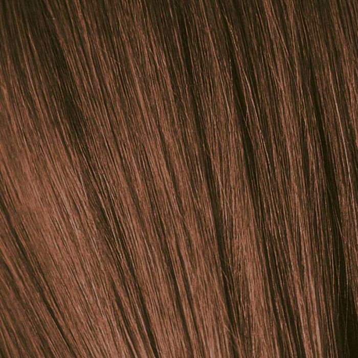 Schwarzkopf Igora Royal Permanent Colour 6-6 Dark Blonde Auburn 60ml