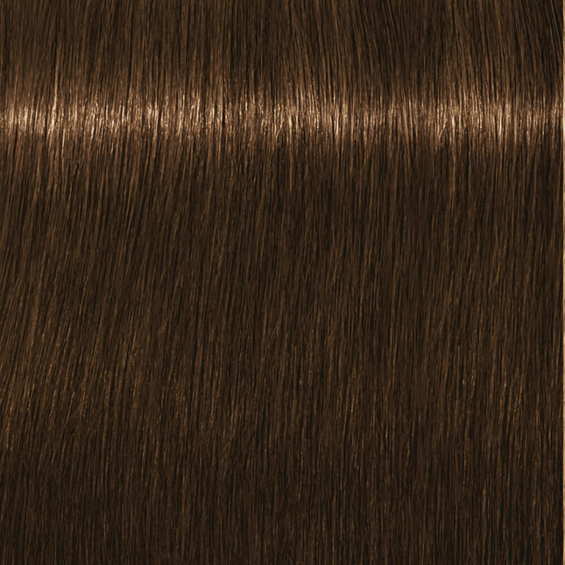 Schwarzkopf Igora Royal Permanent Colour Absolutes 7-140 Medium Blonde Cendré Beige Natural 60ml