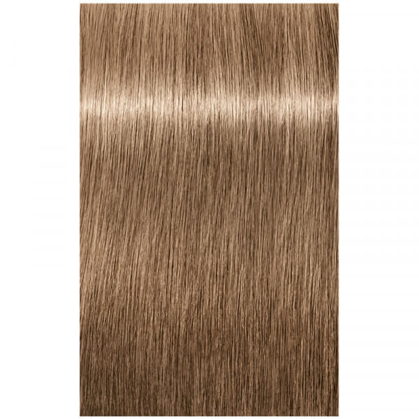 Schwarzkopf Igora Royal Permanent Colour Absolutes 8-01 Light Blonde Natural Cendré 60ml