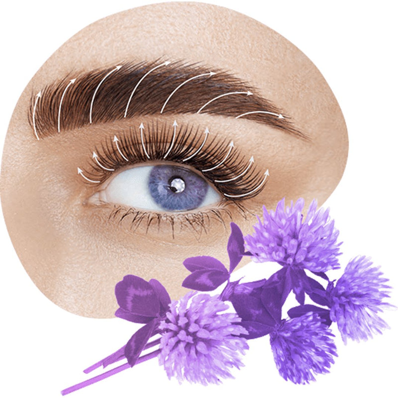 Mayamy Oh My Grow Lash Growth Serum
