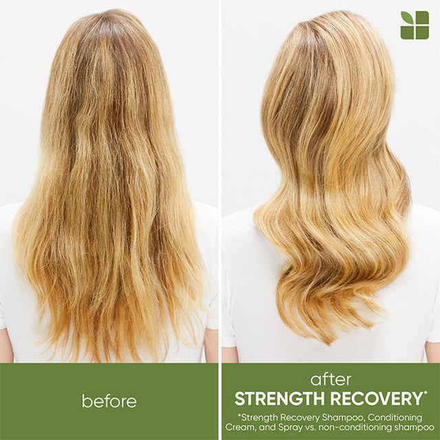 Matrix Biolage Strength Recovery Trio