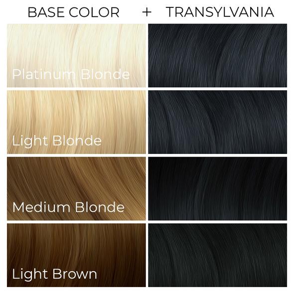 Arctic Fox Hair Colour Transylvania 236ml